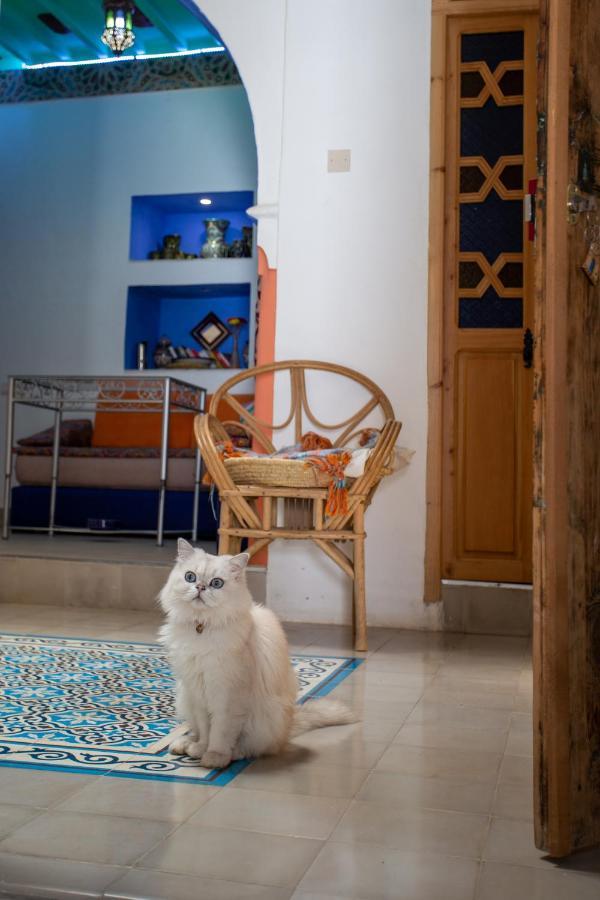 Hotel Casa Miguel شفشاون المظهر الخارجي الصورة